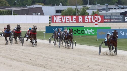 Borrisokane-last-race-Juniors-addington-