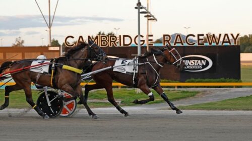 Cambridge-finish-blog-generic-v2__Resize