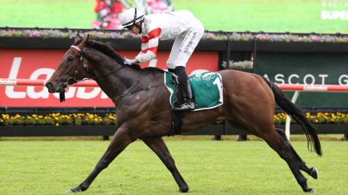 Cifrado-Listed-Ascot-Green-Lough-Neagh-5