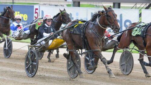 Crystal-Hackett-blog-AYDC-2024__ResizedI