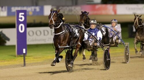 Duchess-Megxit-Z-Butcher-10000-blog-Alex