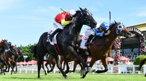 Gold-Bullion-Seven-Members-Mile-scaled-1