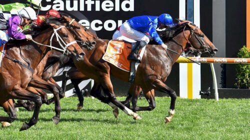 Golden-Mile-Caulfield-Guineas-500x280.jp