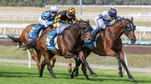 GoldmanPakenham-CupListed_21-12-2024_WIN