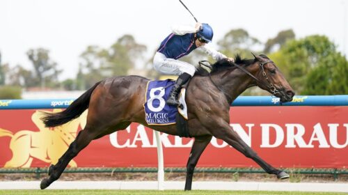 Invincible-Woman-Magic-Millions-VIC-2YO-