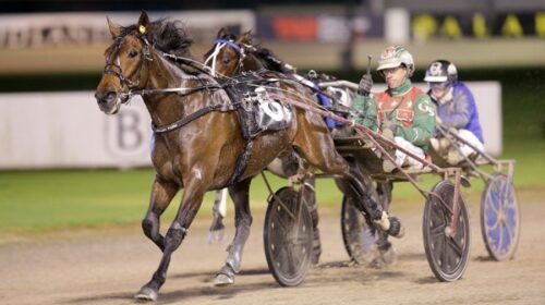 Just-Believe-Rowe-Cup-May-2024-blog-Greg