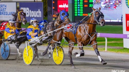 Mister-Smartie-western-australia-dec-202