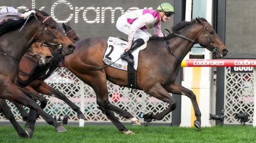 Mornington-Glory-Moir-Stakes-500x280.jpg