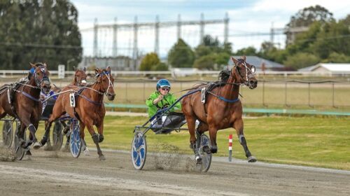 Muscle-Mountain-blog-David-Moss-Invercar