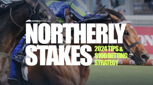 Northerly-Stakes-2024-Preview-500x280.jp