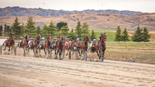 Omakau-blog-dec-2024-southern__ResizedIm