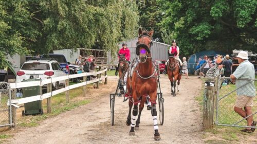 Omakau-blog-pretty-general-southern-v2__