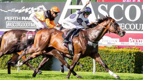 Overpass-Wintrerbottom-Stakes-Ascot-500x