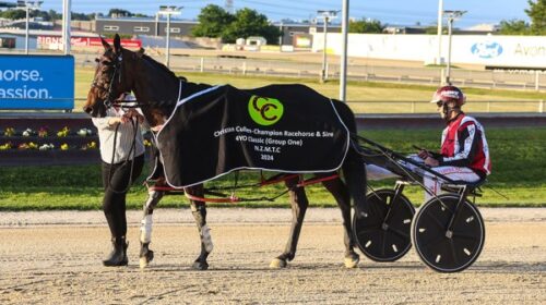 Rakero-Rocket-rug-Addington-Grp-1-CC-blo