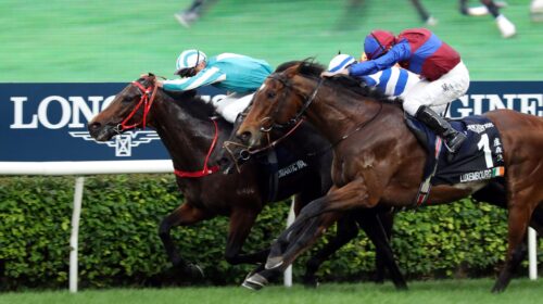 Romantic-Warrior-2023-Hong-Kong-Cup-scal