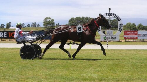 Sideshow-bruce-blog-westport-dec-2024__R