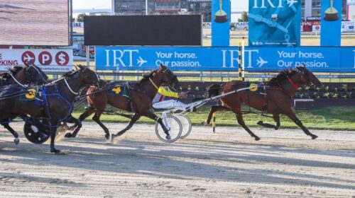 Tact-Mcleod-wins-Addington-blog-image-Fe