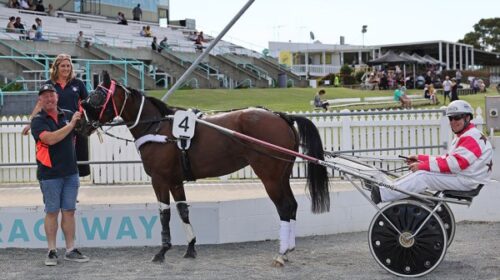 Veronica-Jane-birdcage-Jason-Teaz-blog-D