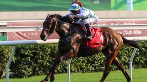 Voyage-Bubble-HK-Mile-scaled-1-500x280.j