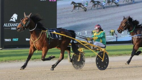 Ya-Eejit-Ya-blog__ResizedImageWzYwMCwzND