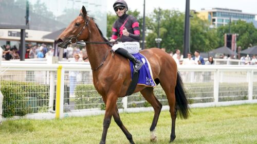 Yes-Lulu-Magic-Millions-VIC-3YO-4YO-Clas