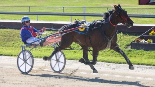 carter-Dalgety-Whosdreamingnow-blog-addi