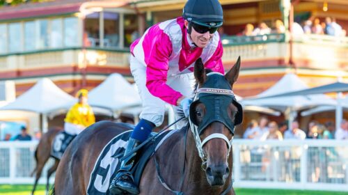 Antique-Miss-La-Trice-Classic--500x280.j