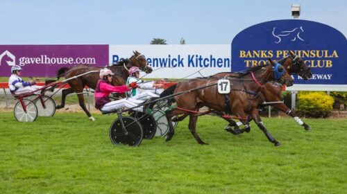 Bettor-Be-Sharp-blog__ResizedImageWzYwMC