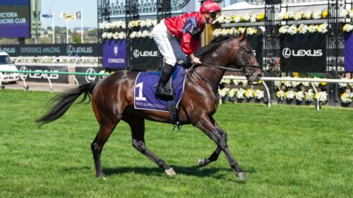 Bosustow-Group-1-BCD-Group-Sprint-1024x6