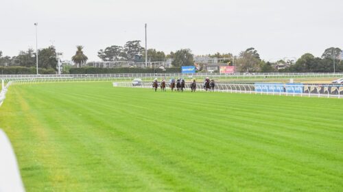 Caulfield-Heath-500x280.jpg
