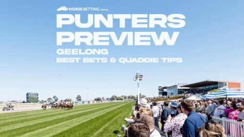 Geelong-Preview-3-1-500x280.jpeg