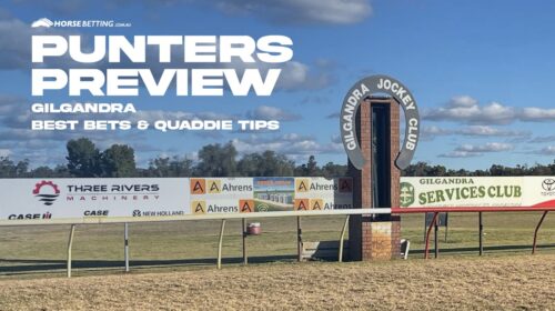Gilgandra-Preview-500x280.jpg