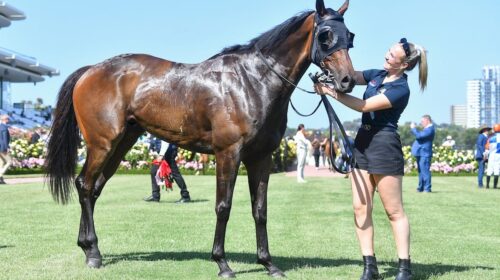 Grand-Pierro-500x280.jpg