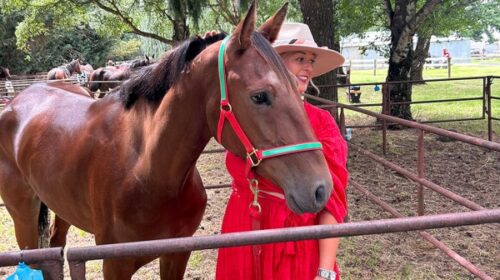 Jess-Murphy-and-horse-blog__ResizedImage