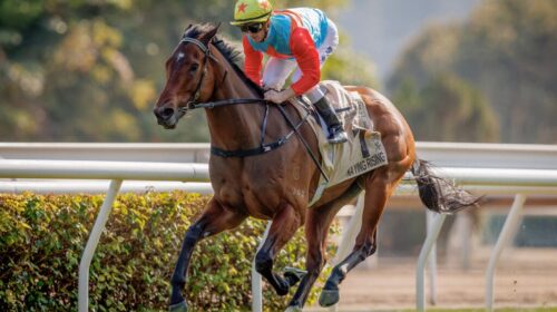 Ka-Ying-Rising-Centenary-Sprint-Cup-1024