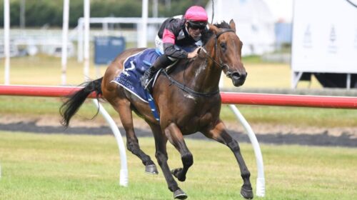 Leica-Lucy-Desert-Gold-Stakes-1024x689-1