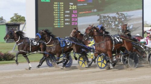 Minjee-blog-alex-park-dec-2024-blog__Res