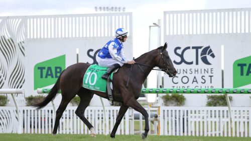 Miss-Joelene-Magic-Millions-The-Wave-500