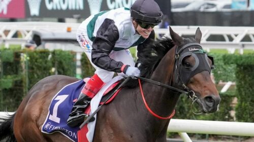 Mr-Brightside-Champions-Mile-1024x683-1-