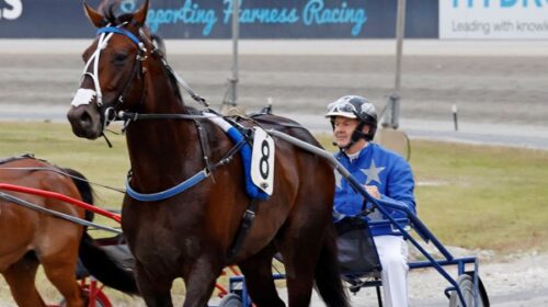 Oscar-Bonavena-blog-1m-Cambridge-Jan-202