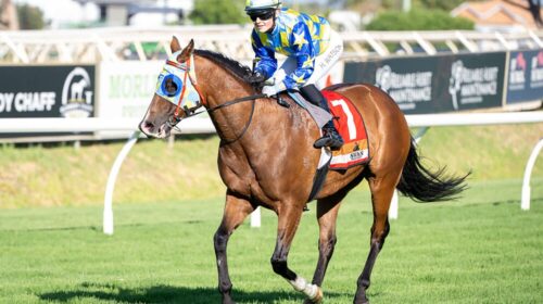 Oxbridge-Summer-Scorcher-Ascot-500x280.j