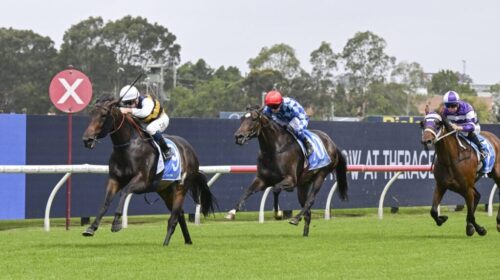 Perfumist-Rosehill-1024x683-1-500x280.jp