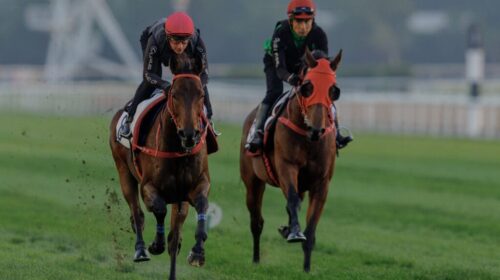 Romantic-Warrior-Meydan-1024x669-1-500x2