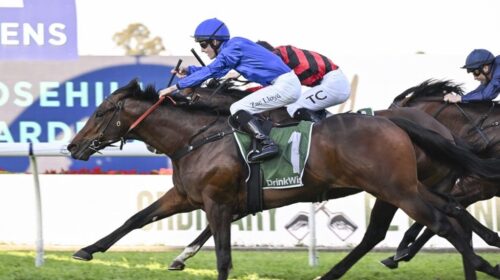 Traffic-Warden-Run-To-The-Rose-1024x683-