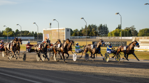 Two-Eye-See-Blog__ResizedImageWzYwMCwzND