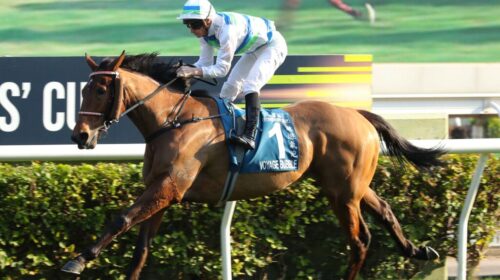 Voyage-Bubble-2025-Stewards-Cup-1024x683