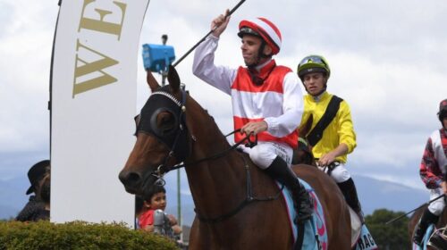 Whangaehu-Trentham-Stakes-1024x689-1-500