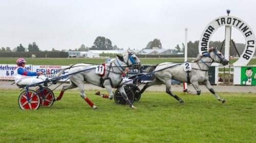 All-grey-quinella-Methven-Dem-Bones-and-