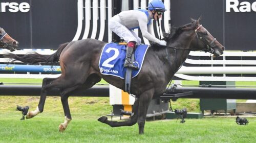 Angel-Capital-Group-2-Autumn-Stakes-1024