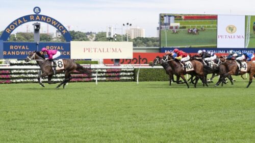 Apollo-Stakes-Promos-1024x681-1-500x280.